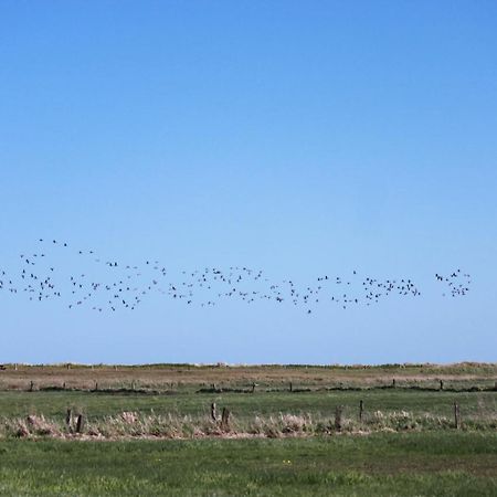 Ferienwohnung 'Kronsgaard' - Refugium Pottloch Ostsee ภายนอก รูปภาพ