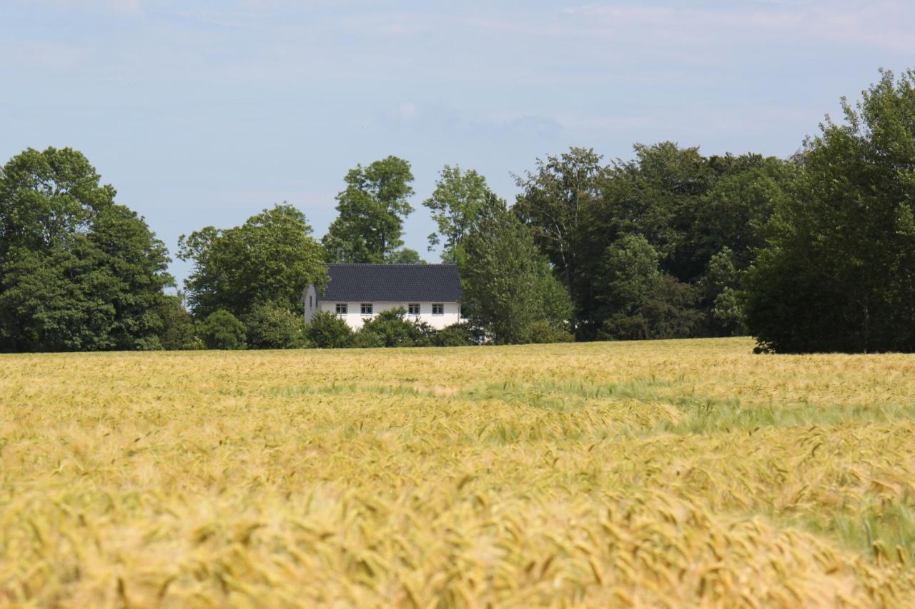 Ferienwohnung 'Kronsgaard' - Refugium Pottloch Ostsee ภายนอก รูปภาพ